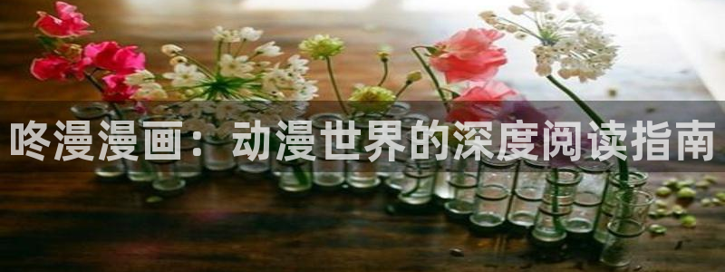 歪歪漫画韩漫网：咚漫漫画：动漫世界的深度阅读指南